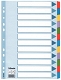 Przekładki do segregatora A4 12 kart Esselte kartonowe kolorowe Mylar z kartą opisową